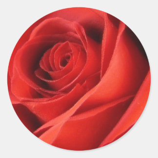 Aufkleber für rote Rosen