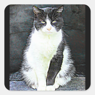 Aufkleber für schwarze und weiße Katzen