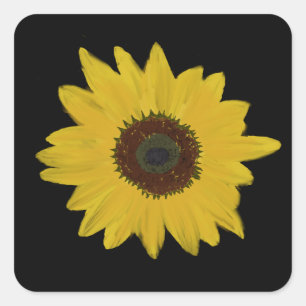Aufkleber für Sonnenblumen