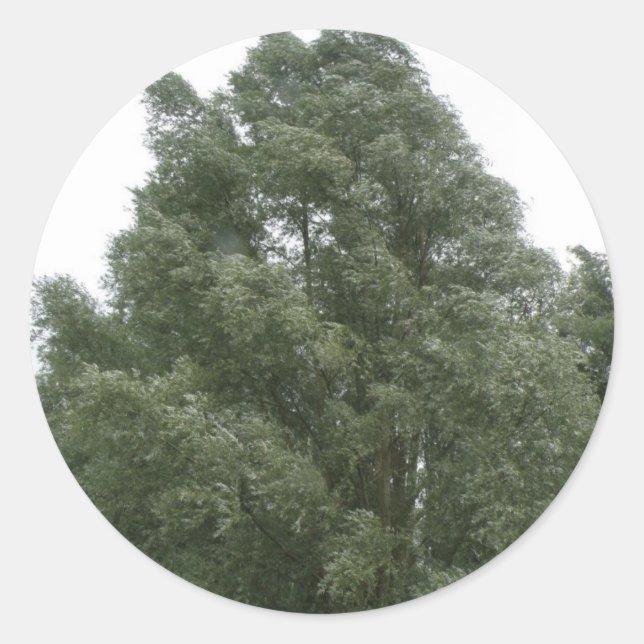 Aufkleber für Treetops (Vorderseite)
