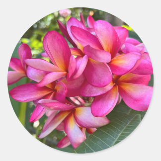 Aufkleber für tropische Blume
