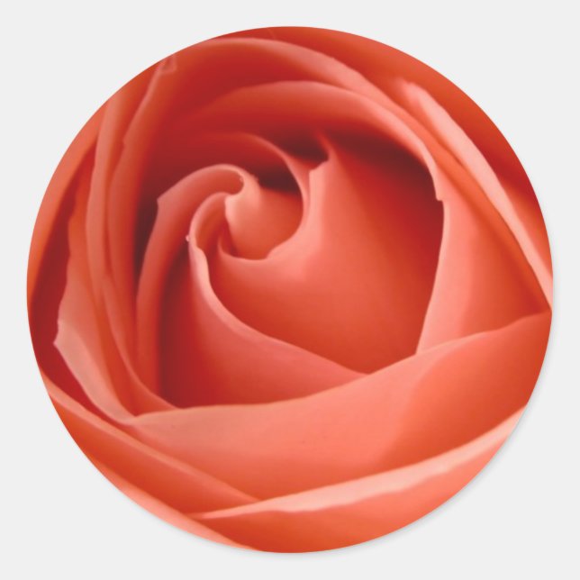 Aufkleber für Umschlag Aufkleber der Rose (Vorderseite)
