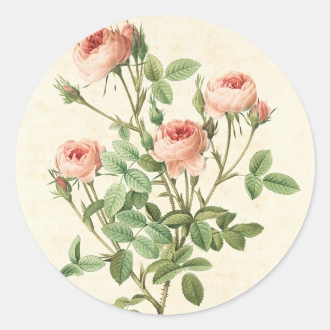 Aufkleber für Vintage Rose (Vorderseite)