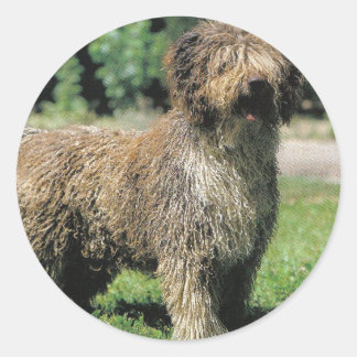 Aufkleber für Wasserhunde