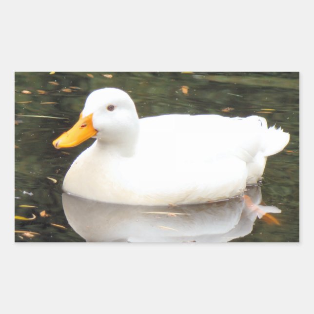 Aufkleber für weiße Enten (Vorderseite)