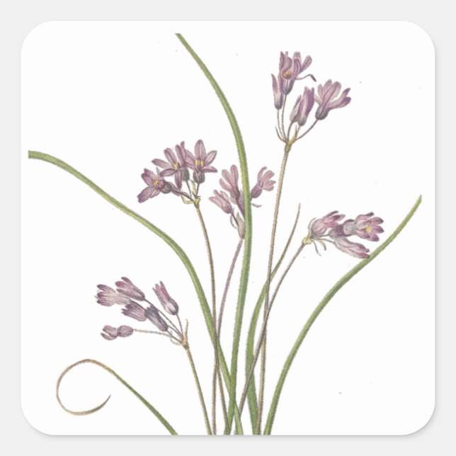 Aufkleber für Wildblumen (Vorderseite)