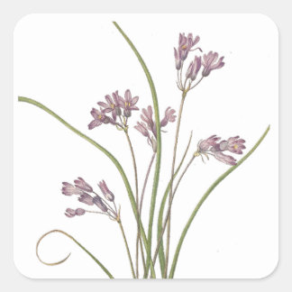 Aufkleber für Wildblumen