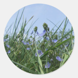 Aufkleber für Wildblumen