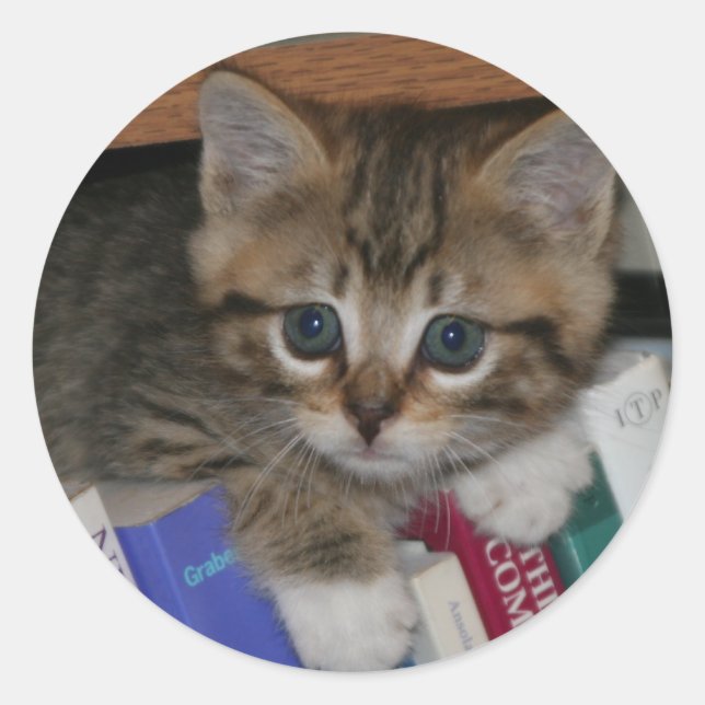 Aufkleber für Würmer (Vorderseite)