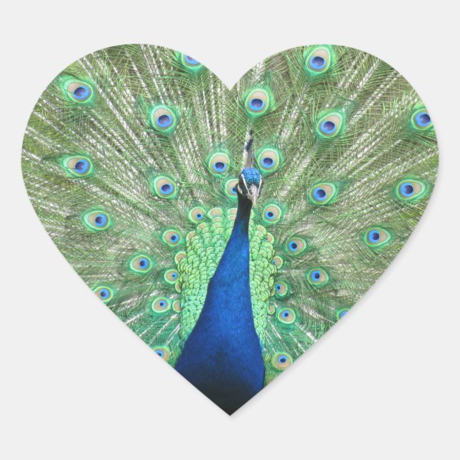 Aufkleber (hrt) - Pfau (Vorderseite)