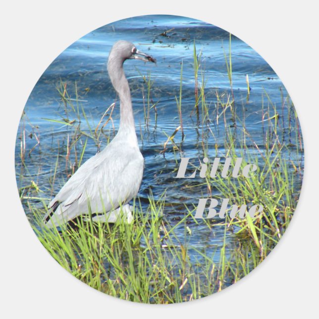 Aufkleber, Klein Blau Runder Aufkleber (Vorderseite)