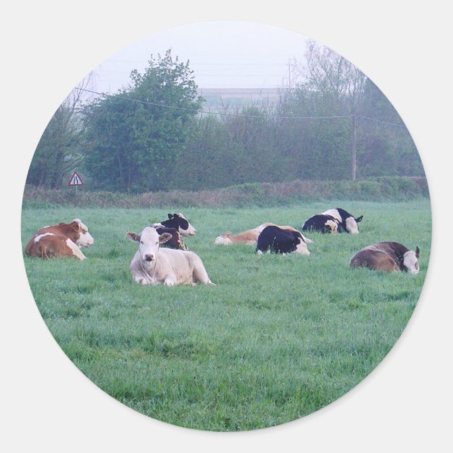 Aufkleber - Kühe - farbig (Vorderseite)