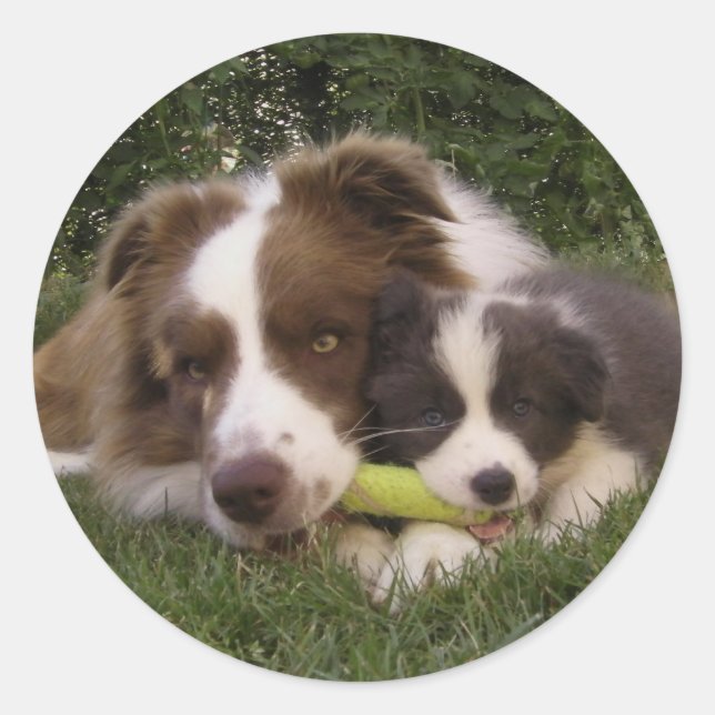 Aufkleber Kun und Vir (Vorderseite)