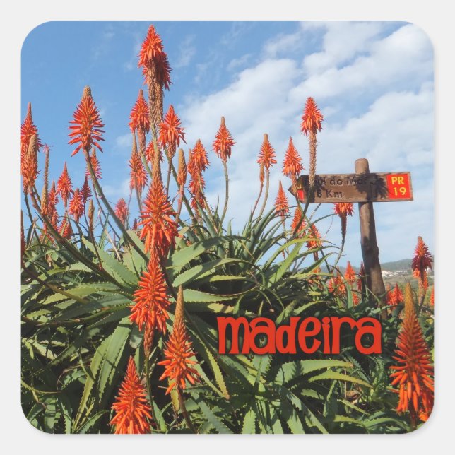 Aufkleber Madeira Aloe (Vorderseite)