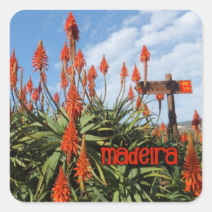 Aufkleber Madeira Aloe