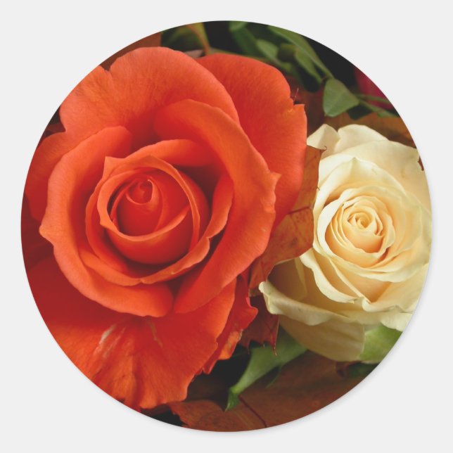Aufkleber mit mehreren Rose (Vorderseite)