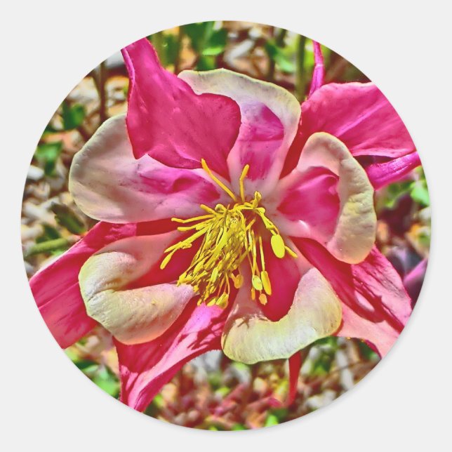 Aufkleber mit rosa Kolonne (Vorderseite)