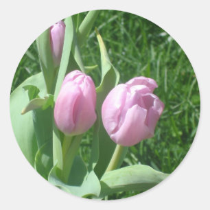 Aufkleber mit rosa Tulips