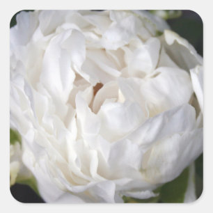 Aufkleber mit weißem Peony Floral Fotografy Square
