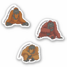 Aufkleber "Orangutan Species"