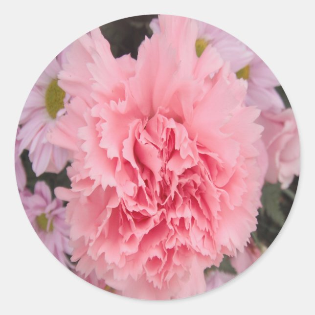 Aufkleber Pink Carnation Beauty (Vorderseite)