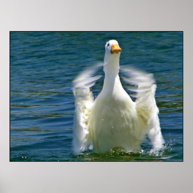 Aufkleber Poster (Vorne)