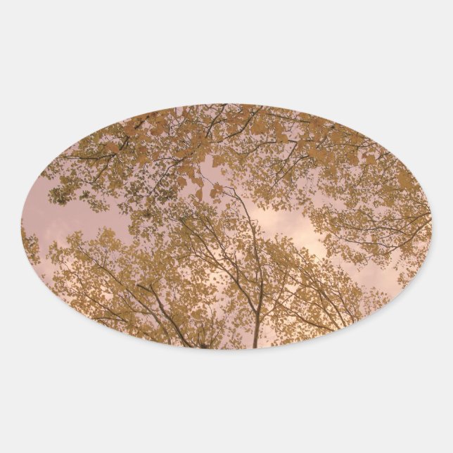 Aufkleber "Rose Herbst" (Vorderseite)