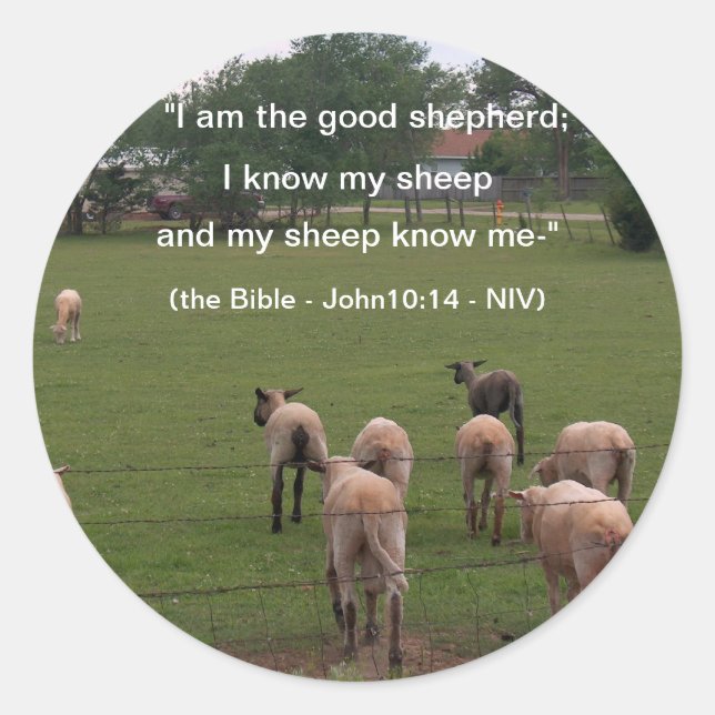 Aufkleber/Schafe Runder Aufkleber (Vorderseite)