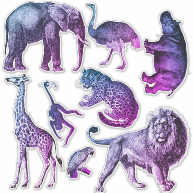 Aufkleber-Set für Zootiere Aufkleber (Vorderseite)