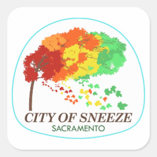 Aufkleber "Stadt Sneeze" Sacramento