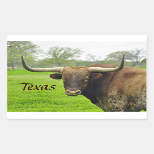 Aufkleber Texas Longhorn "Texas"