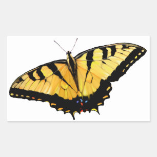 Aufkleber Tiger Swallowtail