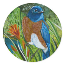 Aufkleber "Western Bluebird"