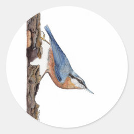 Aufkleber "Wood Nuthatch Bird" (Sitta Europaea)