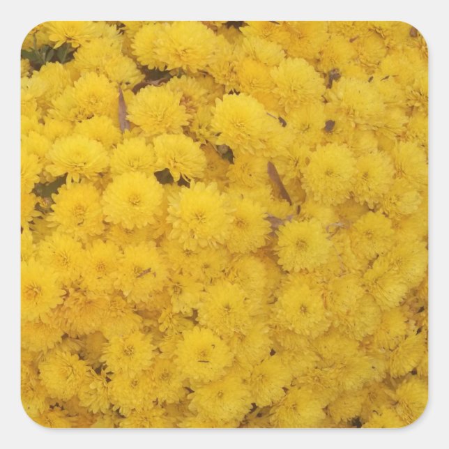 Aufkleber "Yellow Mums" (Vorderseite)