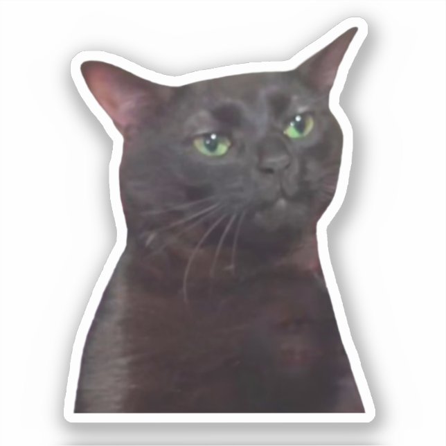 Aufkleber Zoned Out Cat Meme (Vorderseite)