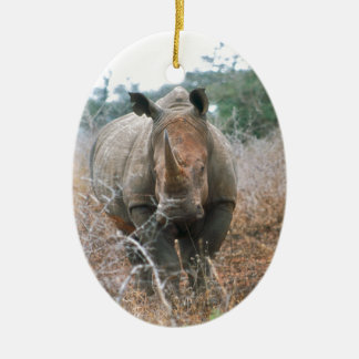 AufladenNashorn Keramik Ornament