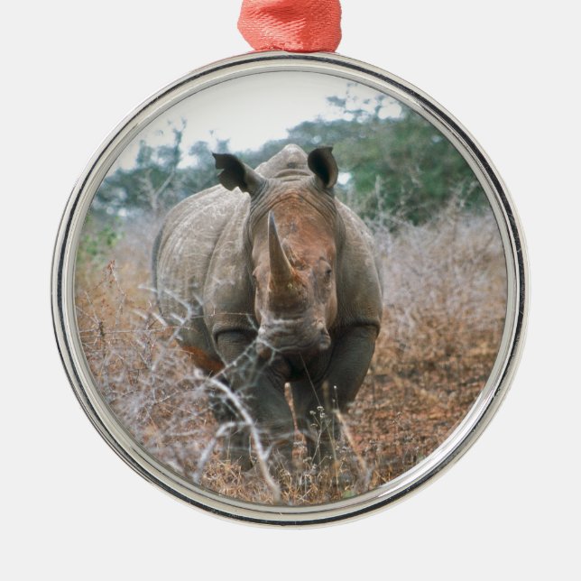 AufladenNashorn Silbernes Ornament (Vorne)