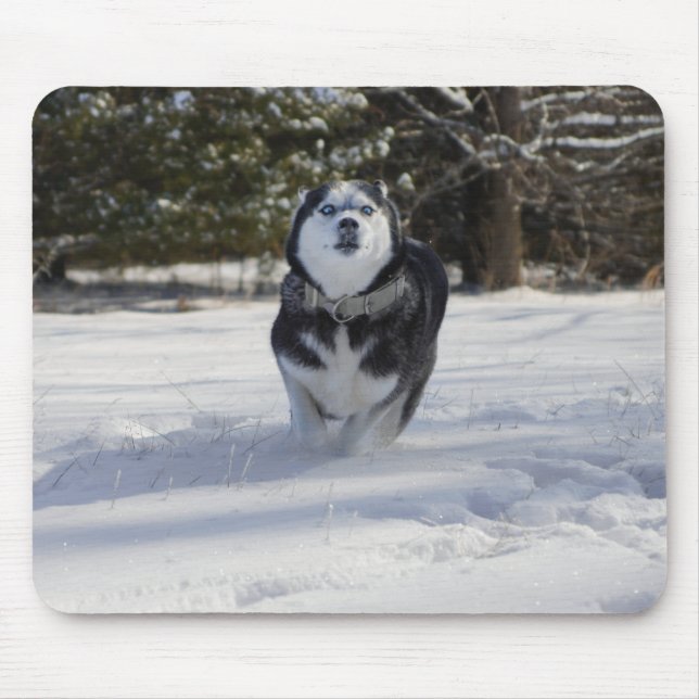 Aufladung Mousepad (Vorne)