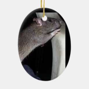 AUFPASSENDE RATTEN-VERZIERUNG KERAMIK ORNAMENT