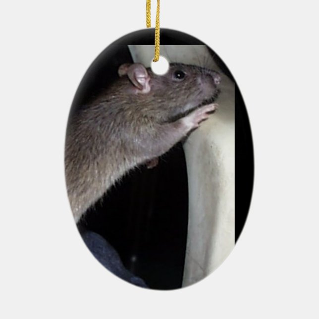 AUFPASSENDE RATTEN-VERZIERUNG KERAMIK ORNAMENT (Hinten)