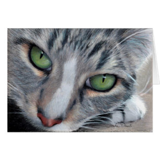 Aufpassender Tabby, der Karte zeichnet