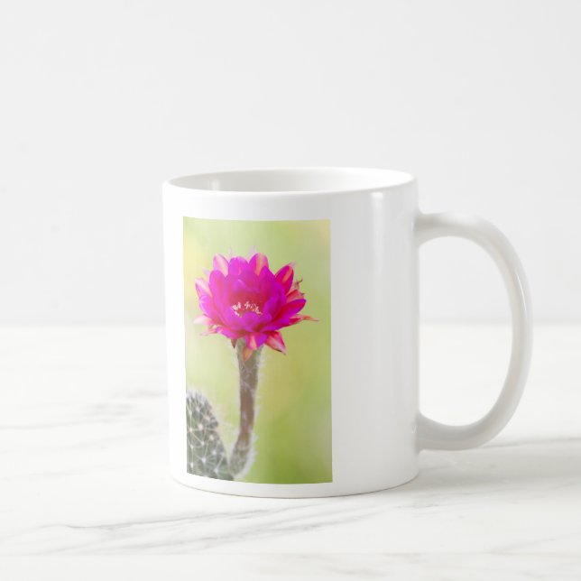 Aufregende Antimaterie Kaktus Blüte Tasse (Rechts)