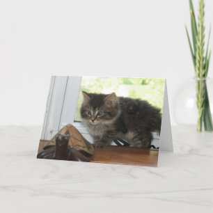 Aufregende Geburtstags-Wünsche Karte