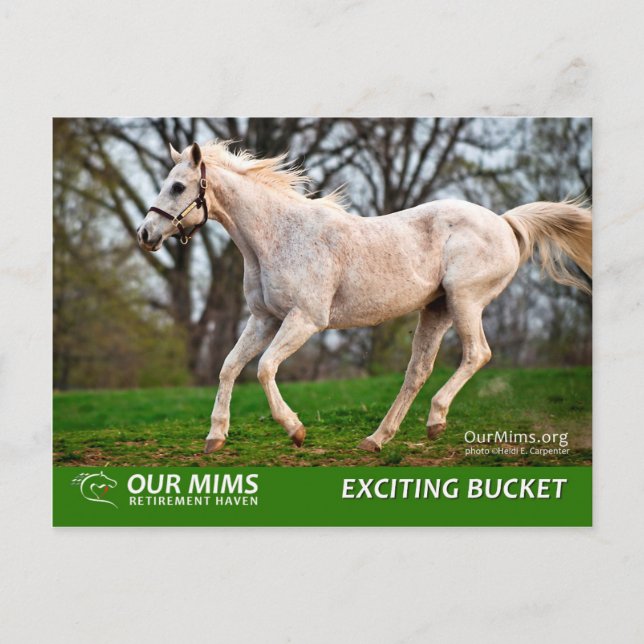 Aufregende Postkarte des Eimers (Vorderseite)