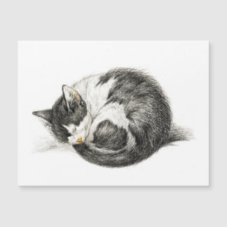 Aufrollende schlafende Katze (1825) Magnetkarte