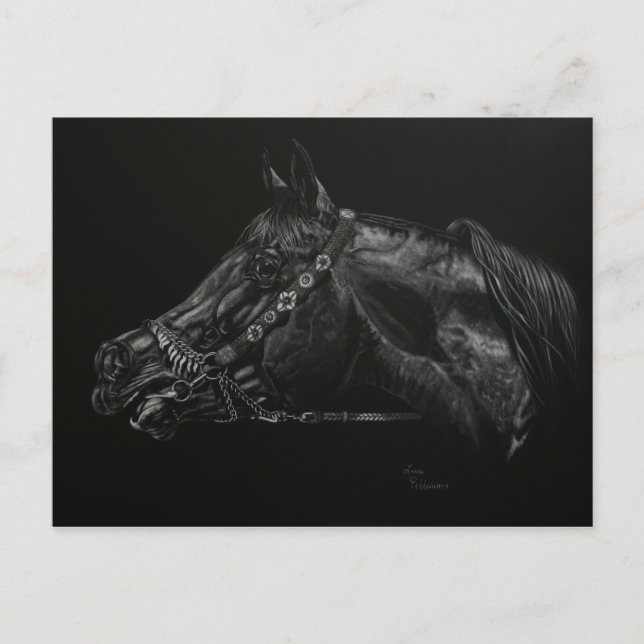 Aufruf Postkarte (Vorderseite)