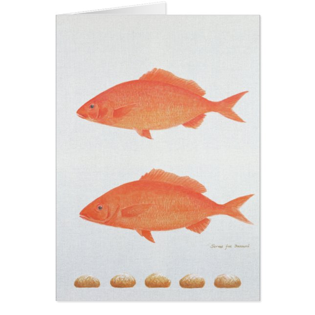 Aufschläge fünf tausend 2005 (Vorne)