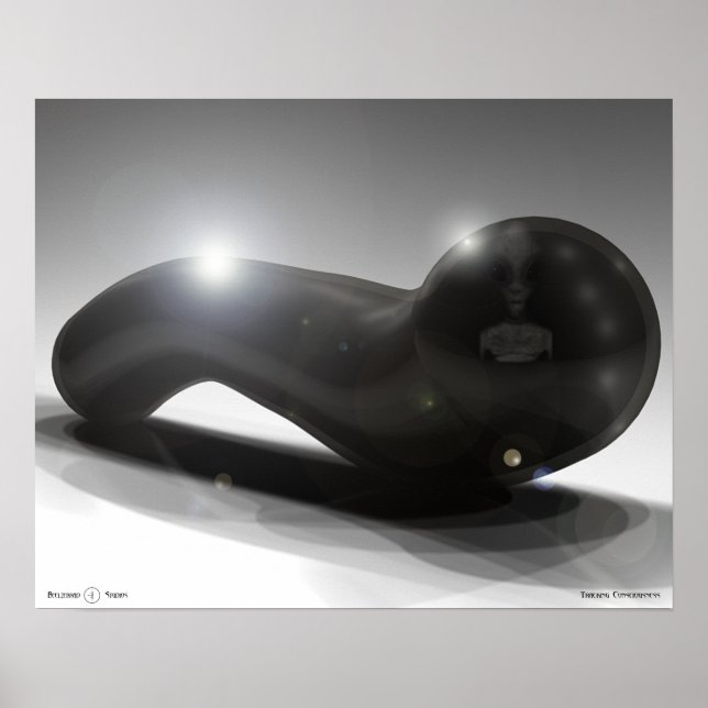 Aufspüren des Bewusstseins Poster (Vorne)