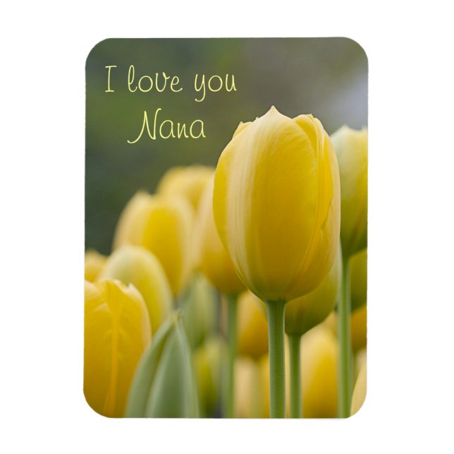 Aufstand Tulip Magnet (Vertikal)